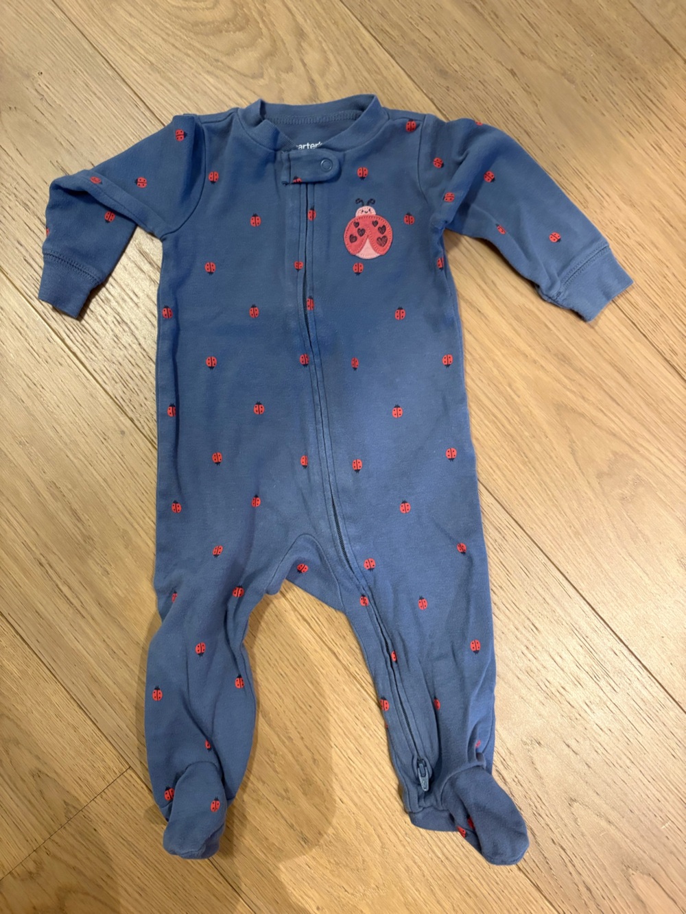Carter’s lady bug printer pajama - size 9 months